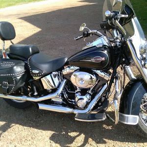 Meet your Posher, Cortez